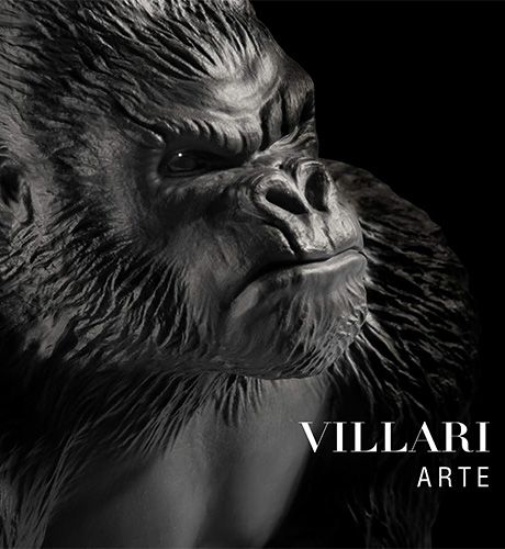 VILLARI Arte